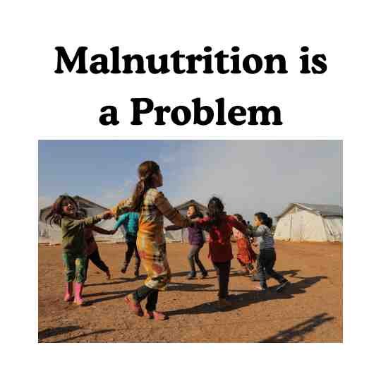आदिवासी लोगों में कुपोषण: उन्हें क्या मिलता है (Malnutrition For Tribal People, What They Get)