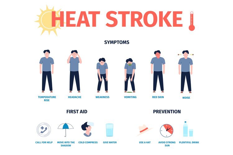 हीट स्ट्रोक (Heat Stroke)